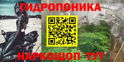 apvp Волжск