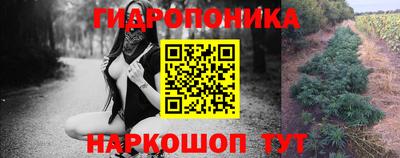 apvp Волжск