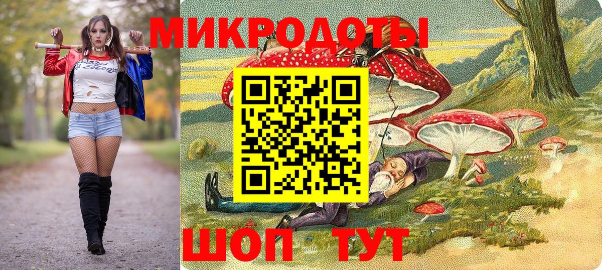 Галлюциногенные грибы Psilocybe Михайловка