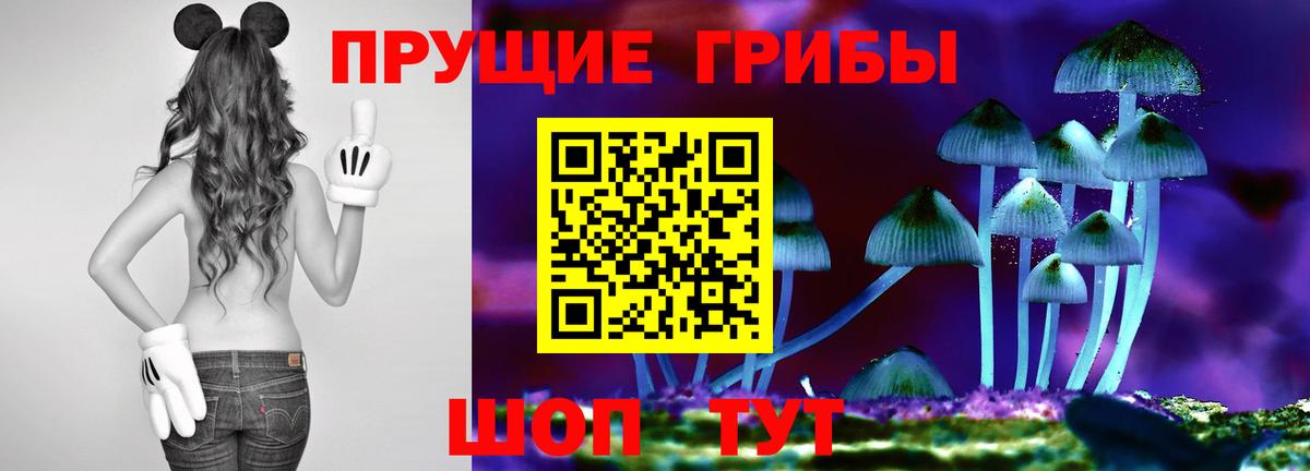 Псилоцибиновые грибы MAGIC MUSHROOMS  Вход с VPN  где купить наркотик  Михайловка 